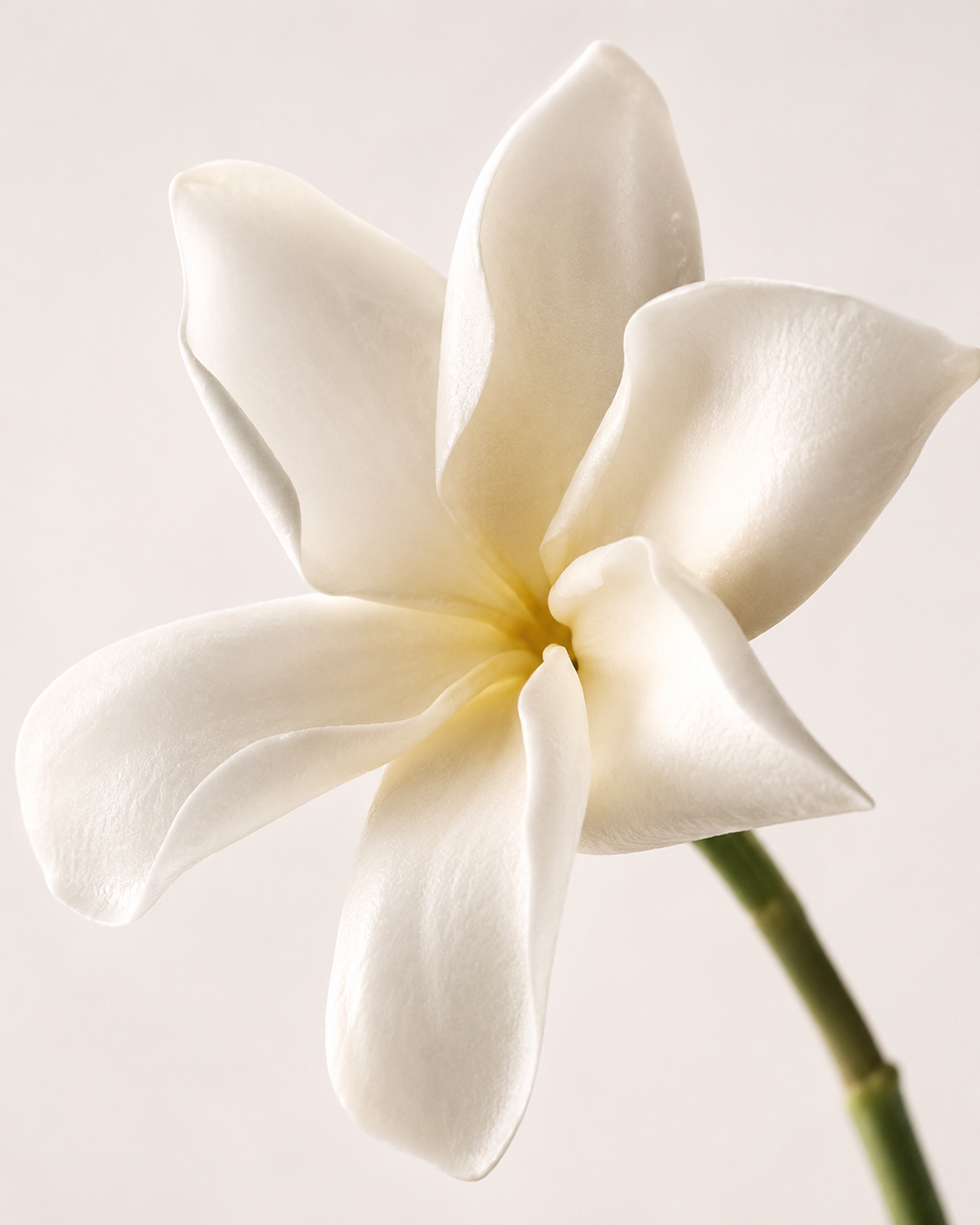 Cocotropic™ Mai Tai Candle