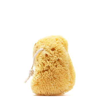 Sea Sponge With Rope